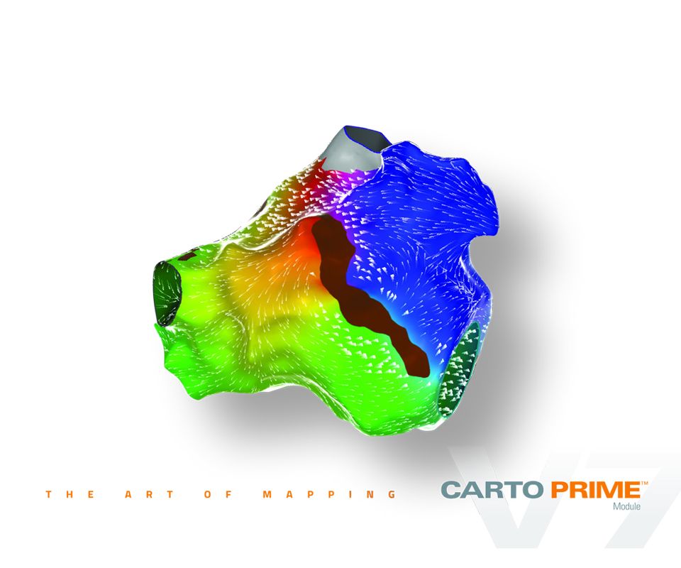 CARTO® 3 Systém