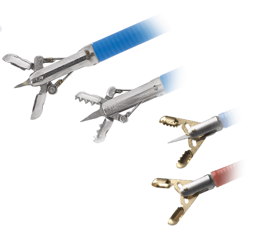 Bioptické kliešte – nožnice